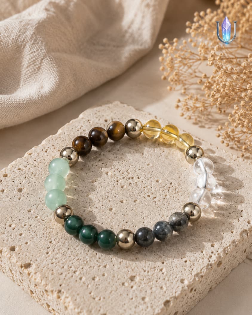 Dhan Yog × Sani Protection Combo Bracelet